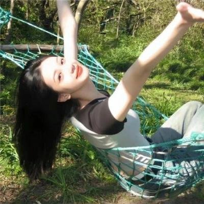 不死鸟之恋