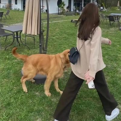 凶杀惊魂